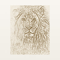 Aged Bronze Etched Lion Line Art – Signed 50-Edition Giclée Print for Gallery Walls — Unframed flat preview
