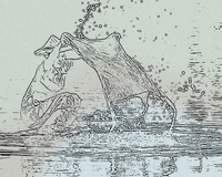 Monochrome Etched Line Art  – Giclée Print for Gallery Walls