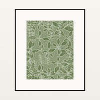 Olive Grove Botanical – Signed 50-Edition Giclée Print for Gallery Walls — Black gallery mat