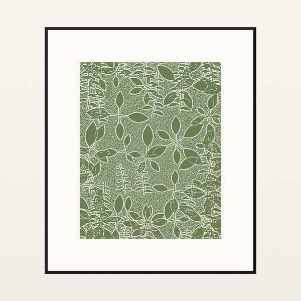 Olive Grove Botanical – Signed 50-Edition Giclée Print for Gallery Walls — Black gallery mat