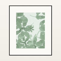 Sage Wash Ombré Gradient – Premium Ombré Gradient Wall Art Print — Black gallery mat